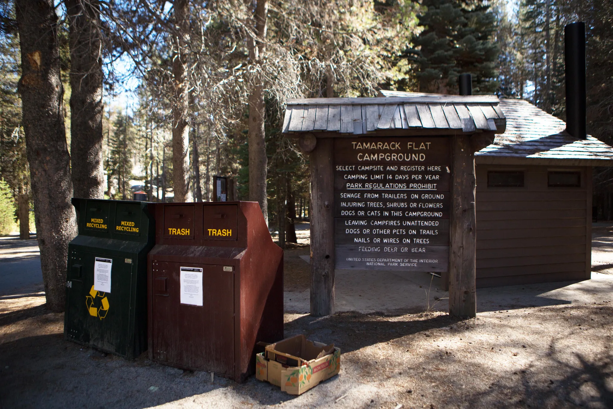 Tamarack Flat Campground