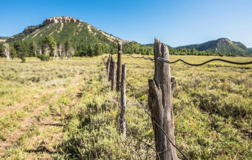 Mancos State Park