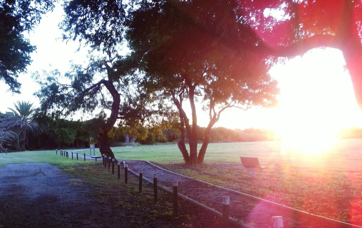 Resaca De La Palma State Park