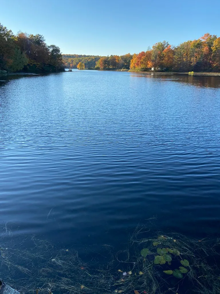 Wawayanda Campground
