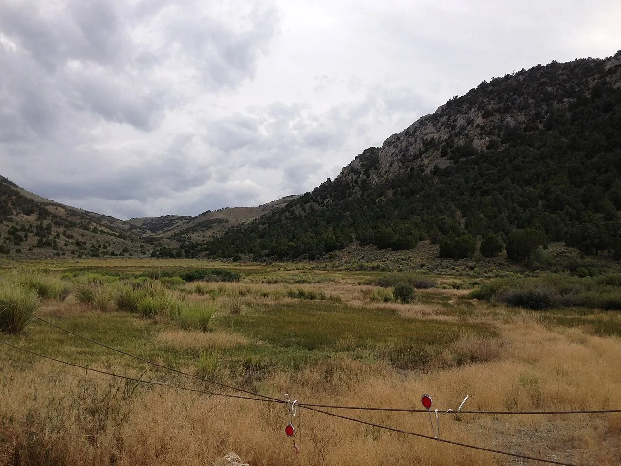 Cave Lake Campground