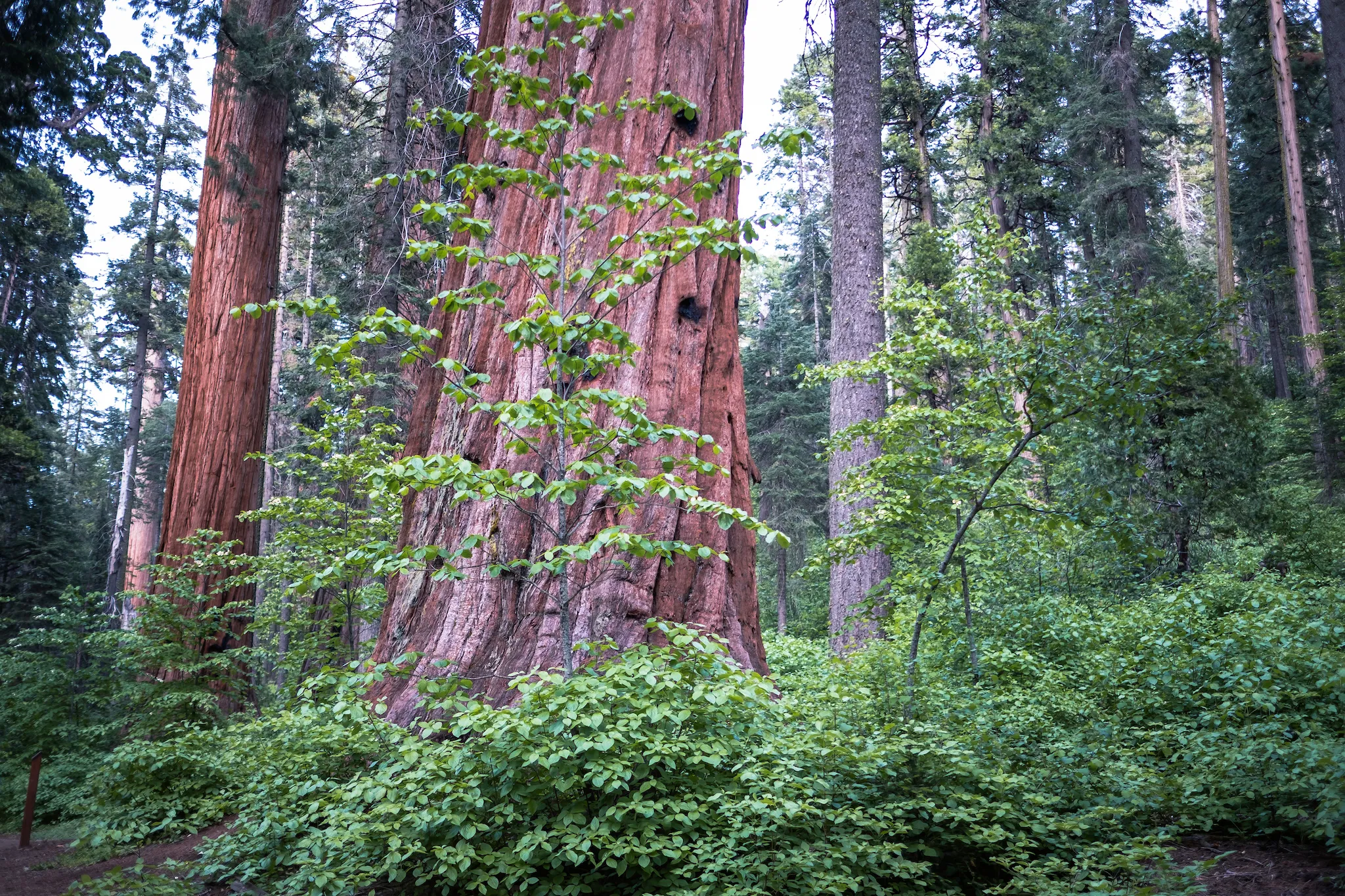 North Grove Campground