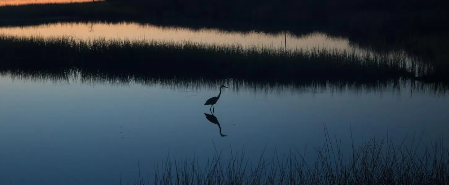 Big Lagoon State Park Campground 3