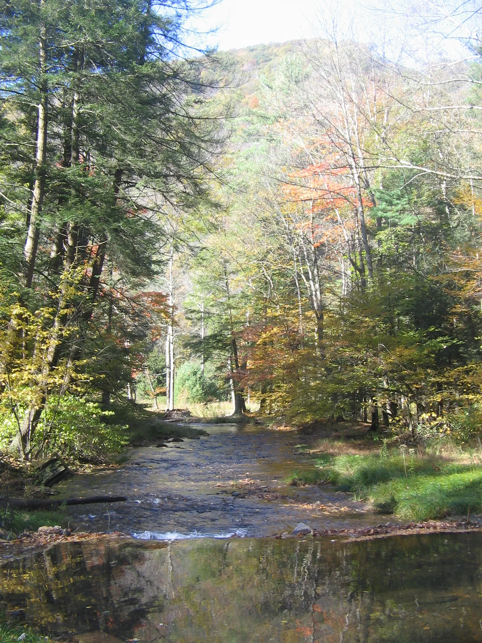 Hyner Run State Park