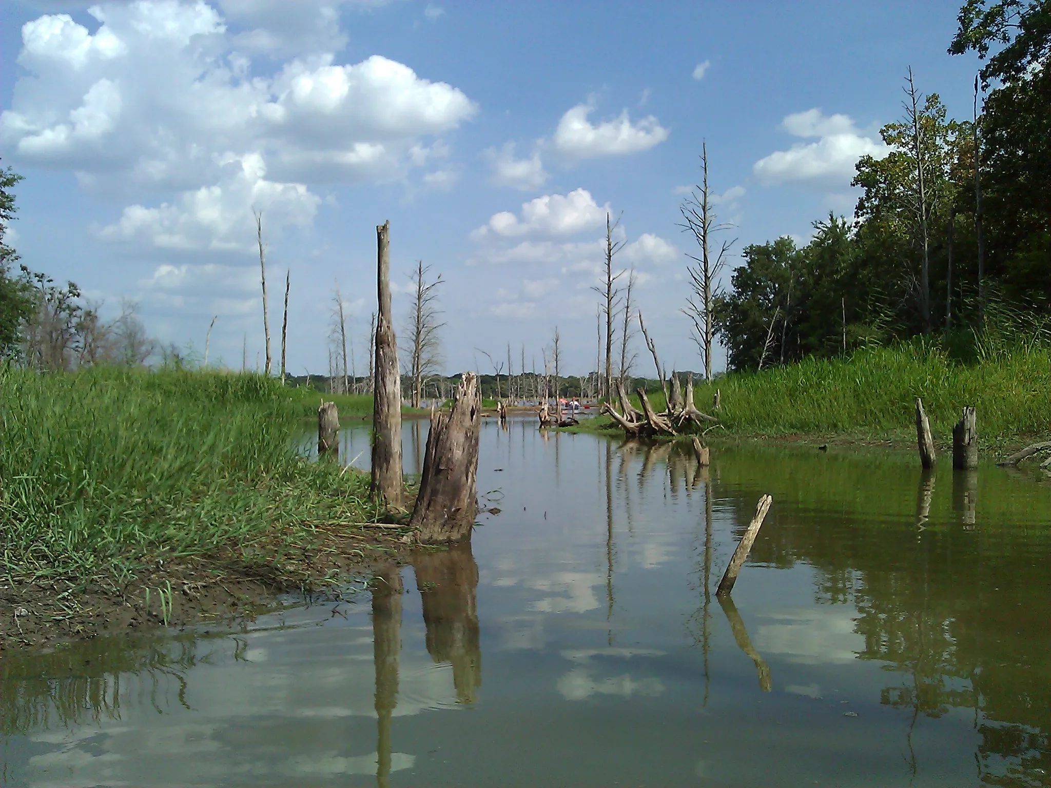 Purtis Creek State Park