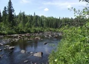 Pine Lake