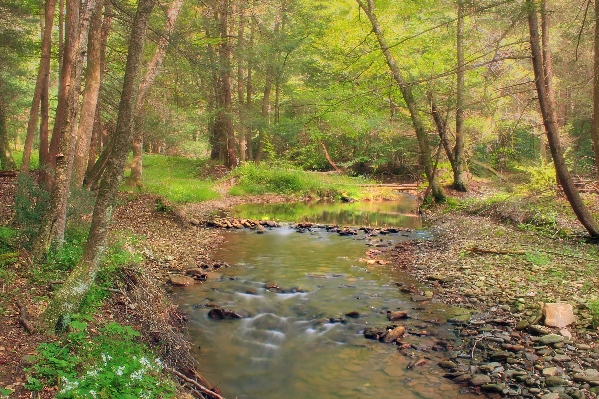 Hyner Run State Park