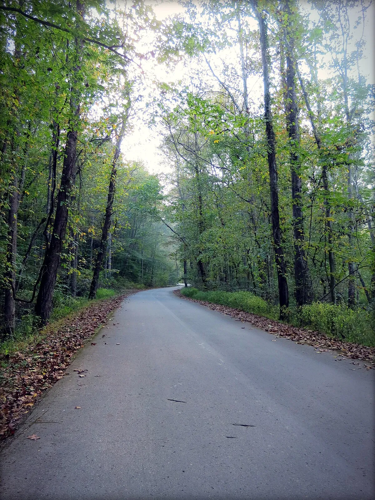 Bee Rock Campground
