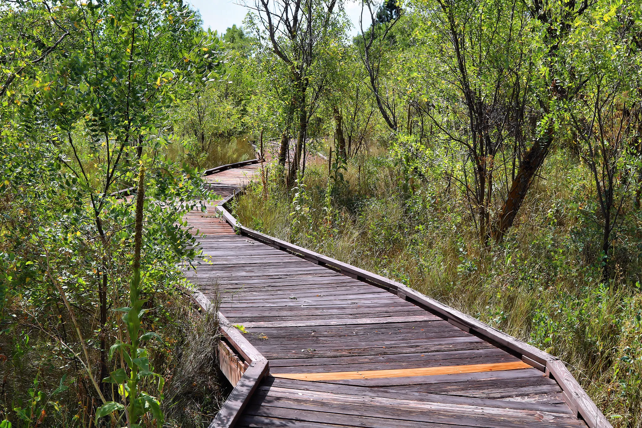 Sugarite Canyon