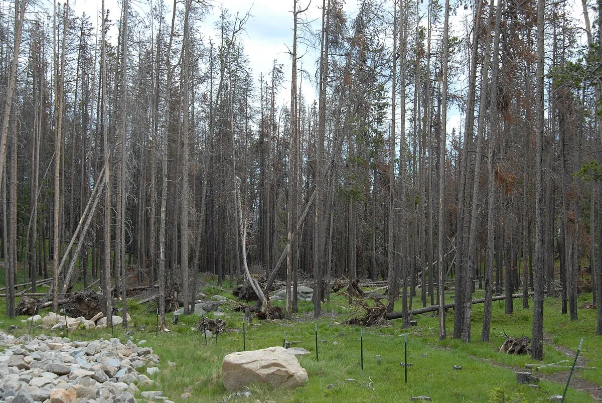 Park Lake Campground