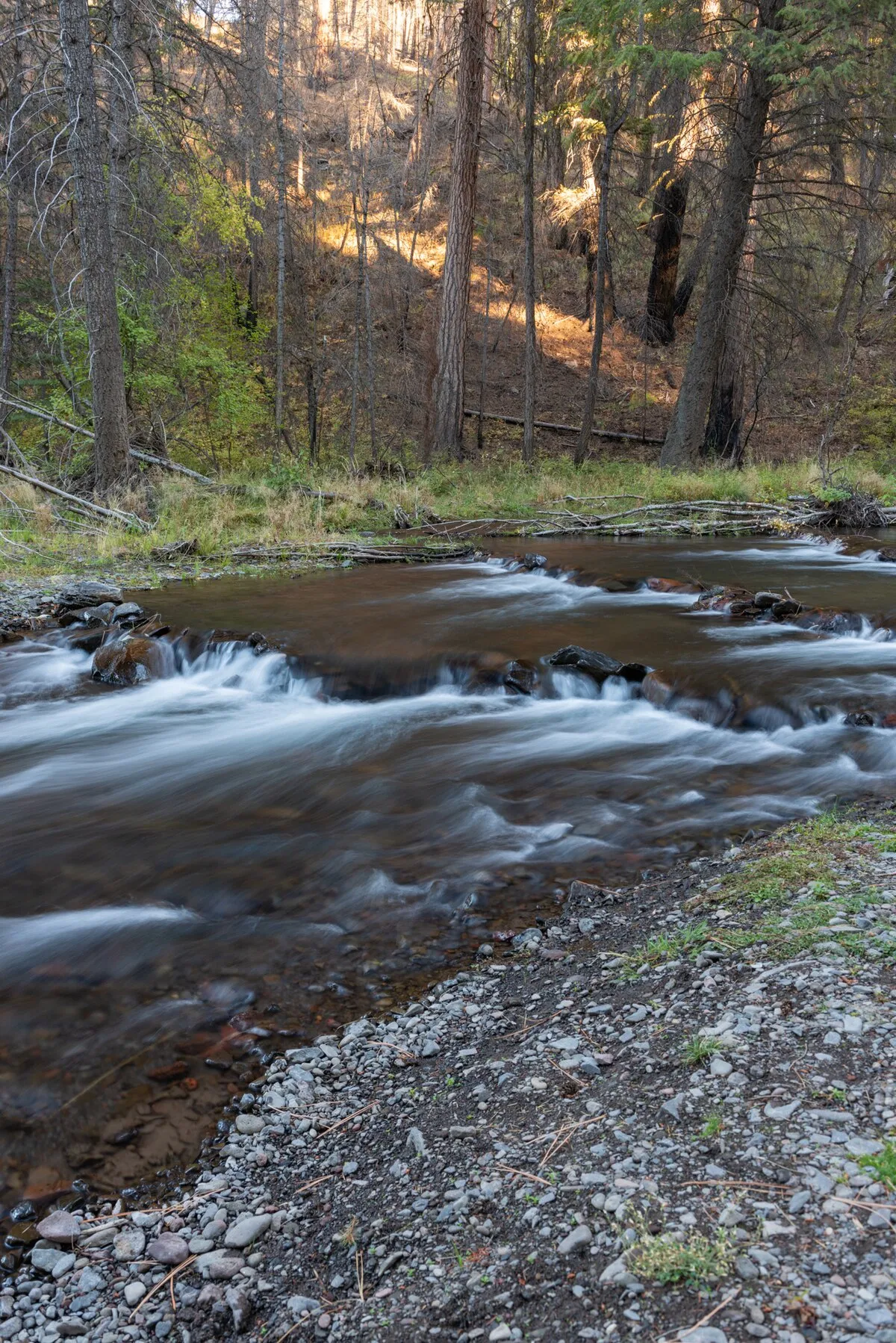 South Fork Campground