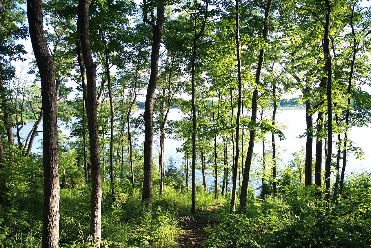 Coyote Campground