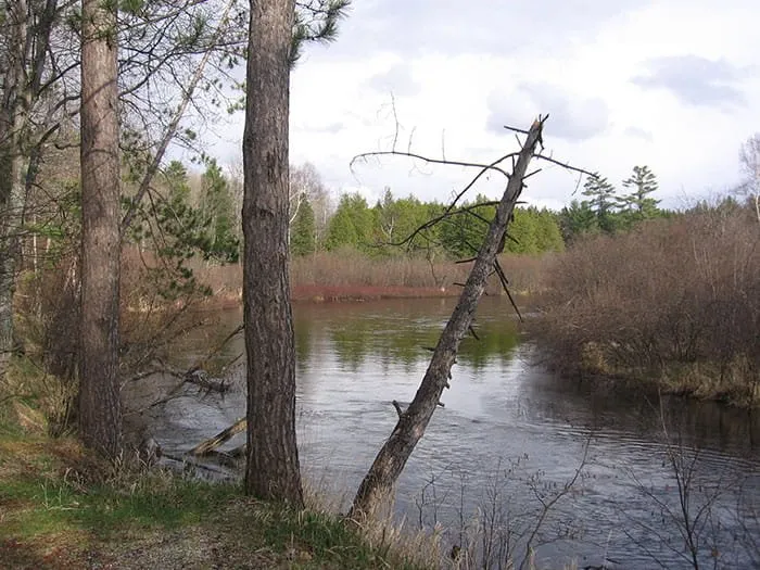 Ccc Bridge State Forest Campground