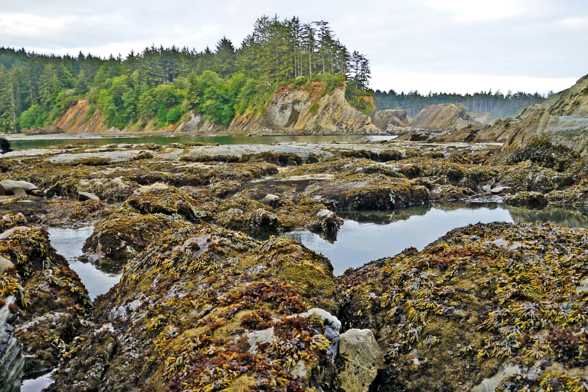 Sunset Bay State Park