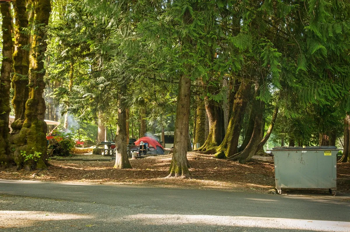 Potlatch State Park