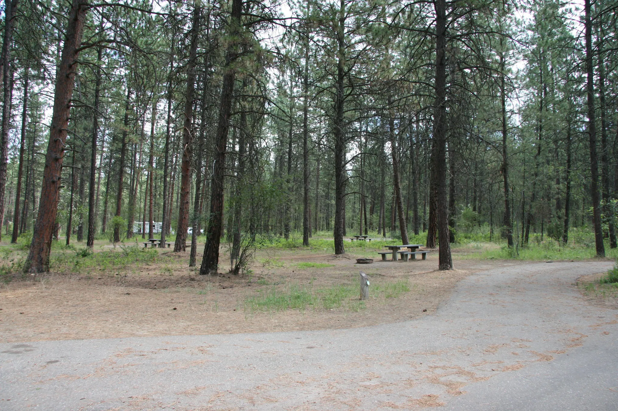 Kettle Falls Campground