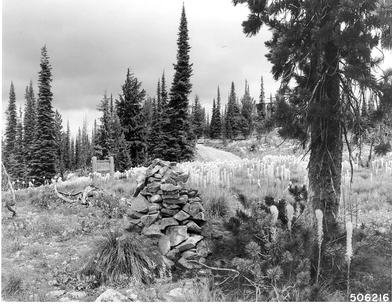 White Sands Campground