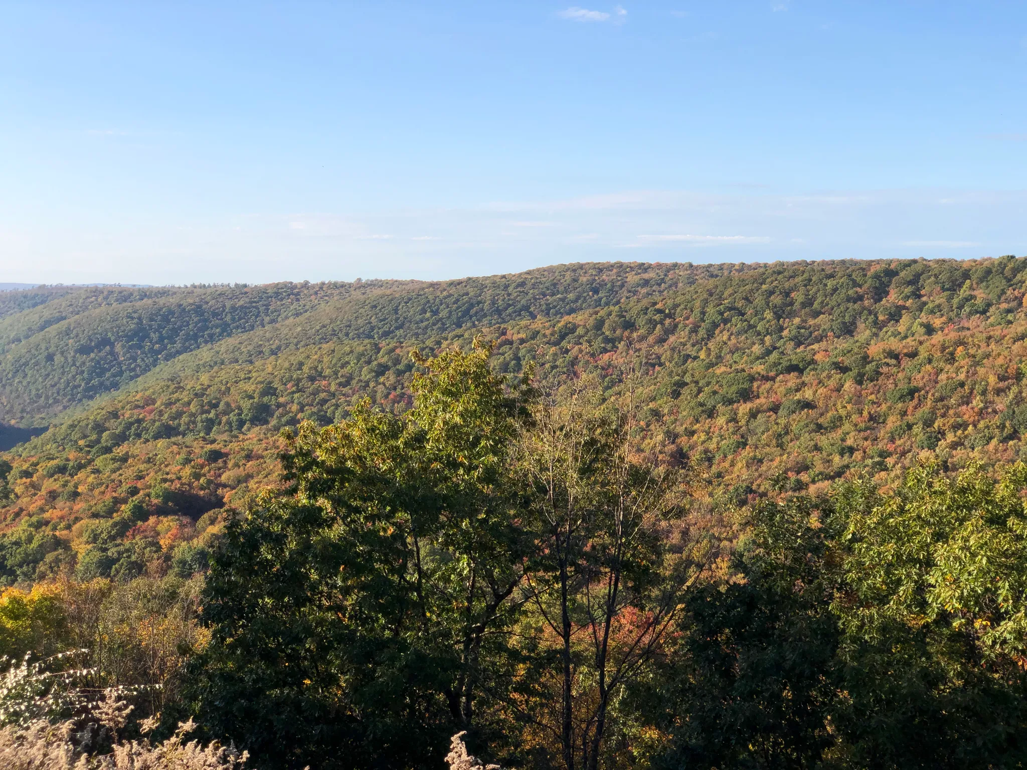 Sproul State Forest