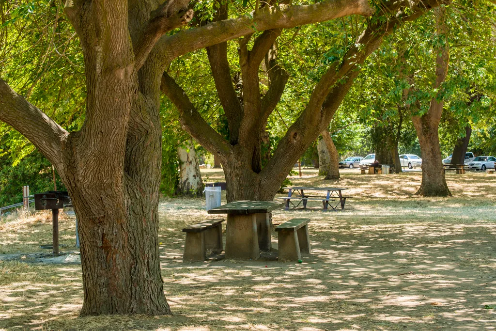 Mcconnell State Recreation Campground