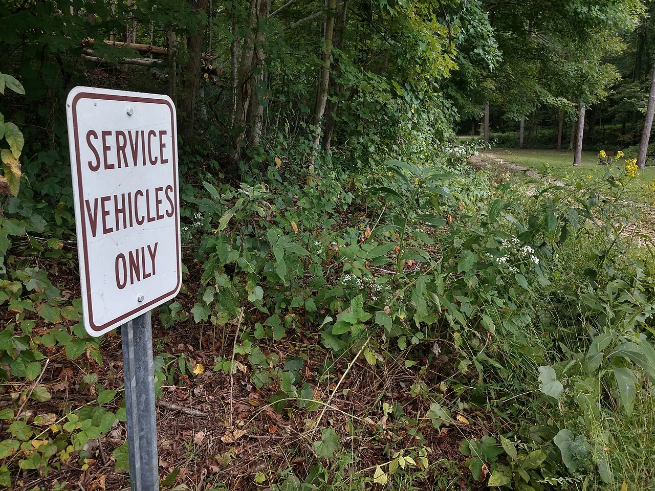 Tar Hollow Campground