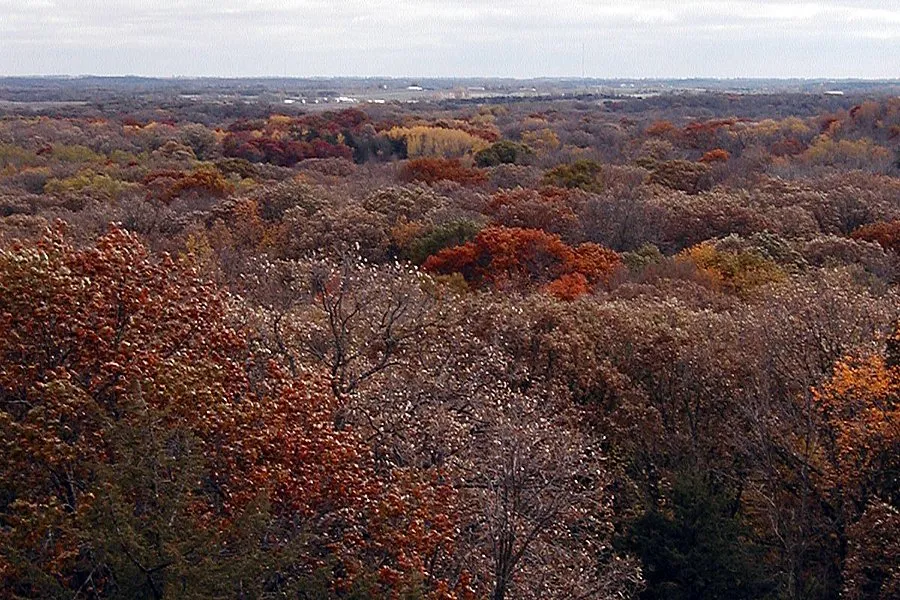 Lakeview Campground