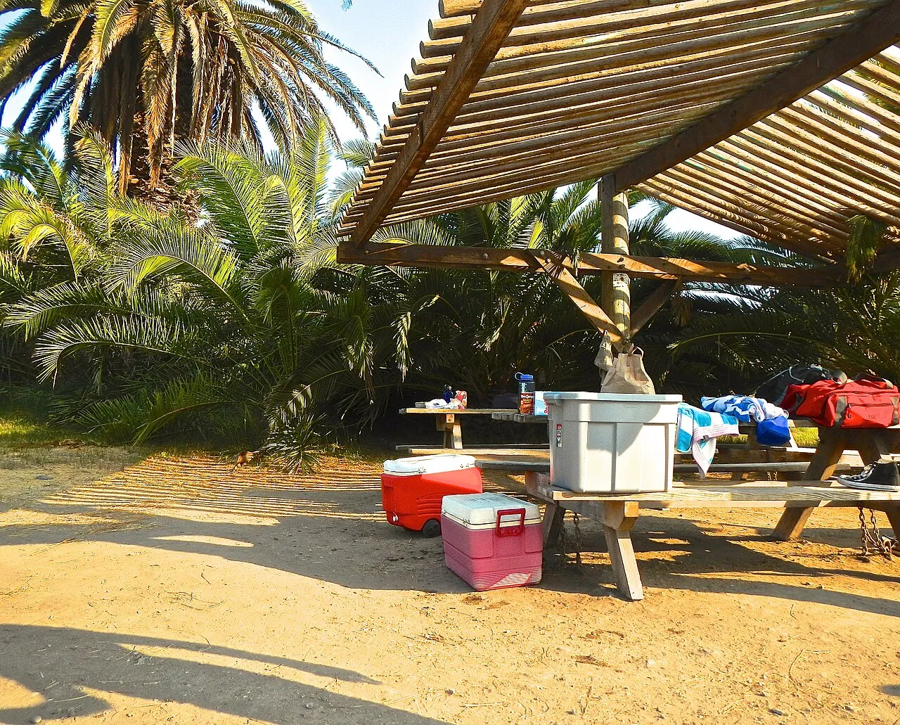 Ringtail Campground