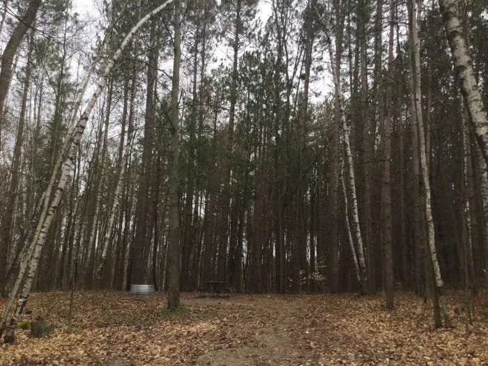 Sunrise Lake State Forest Campground