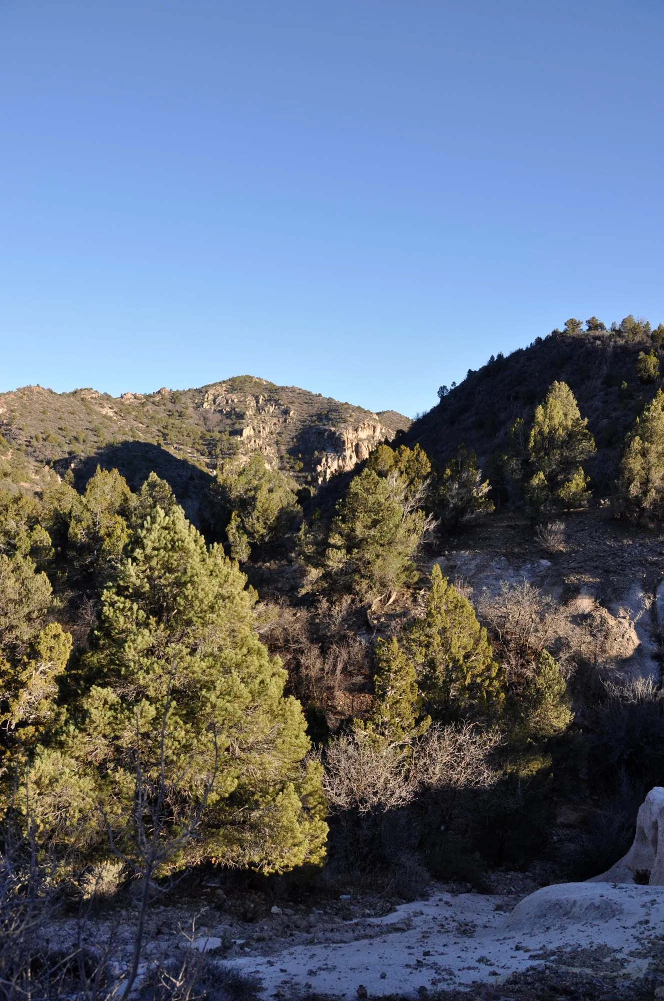 Beaver Dam Campground