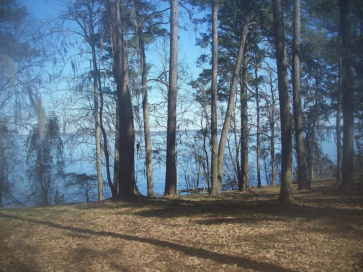 Hillsborough River State Park Campground 2