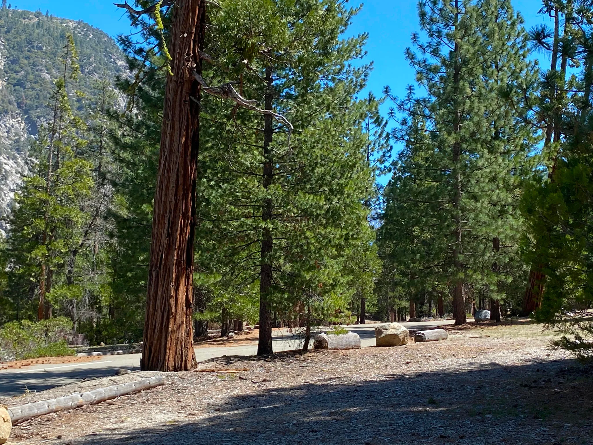 Moraine Campground (Ca)