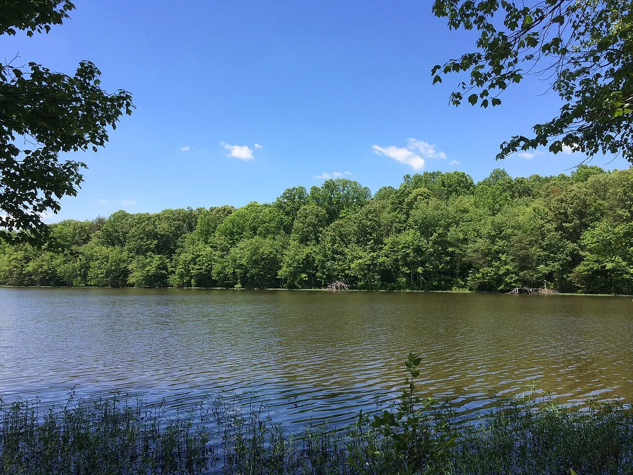 Burke Lake Park Campground
