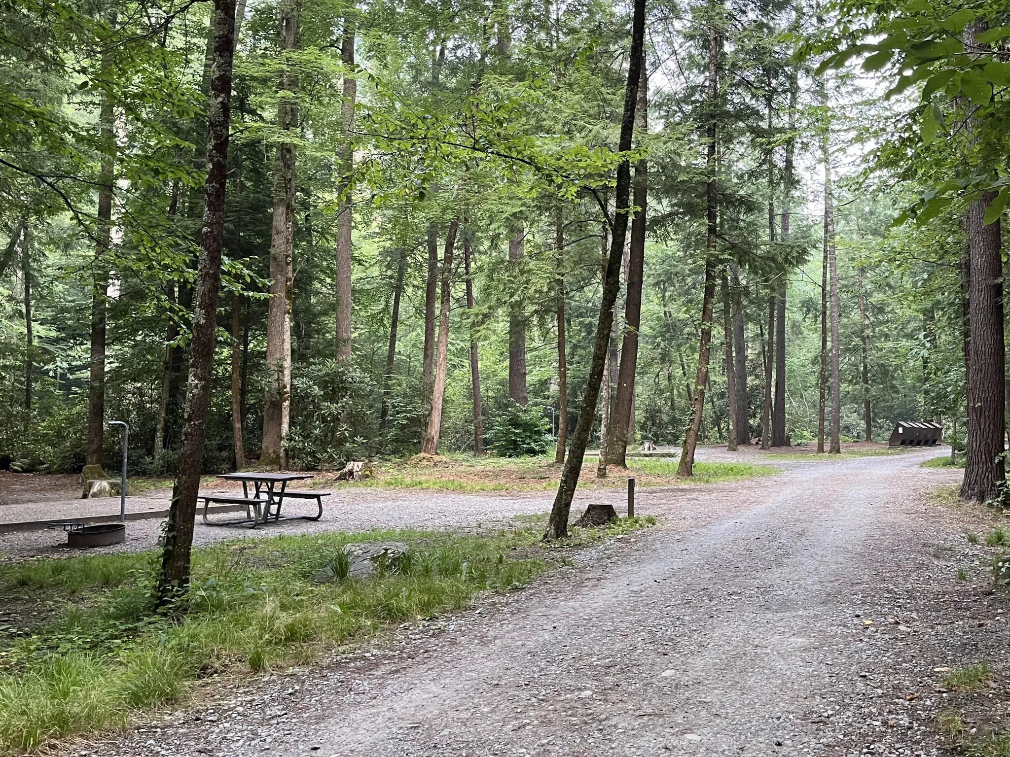 Cataloochee Group Camp