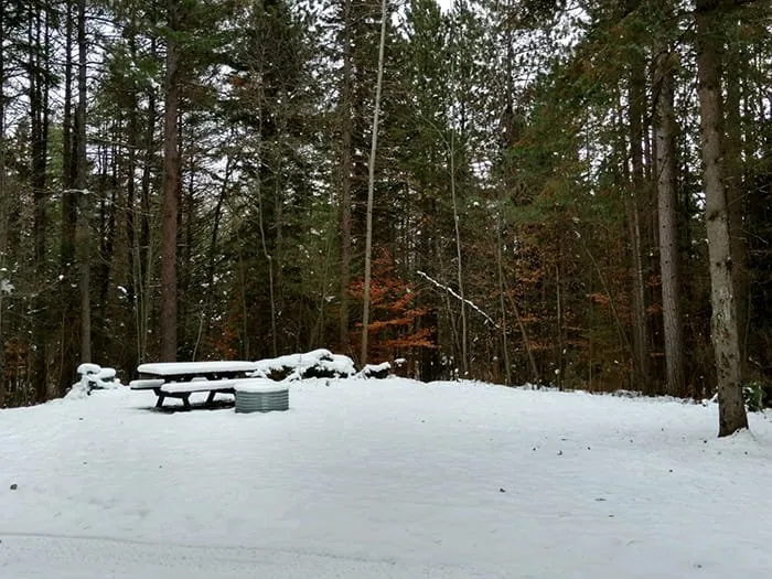 Pine Grove State Forest Campground