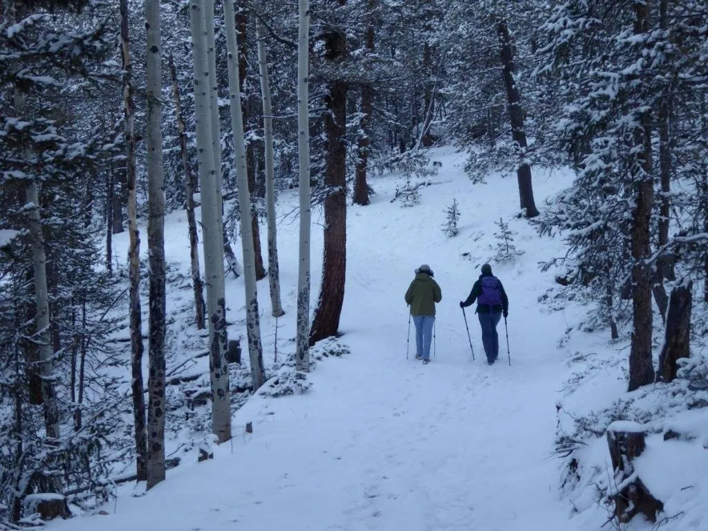 Mueller State Park
