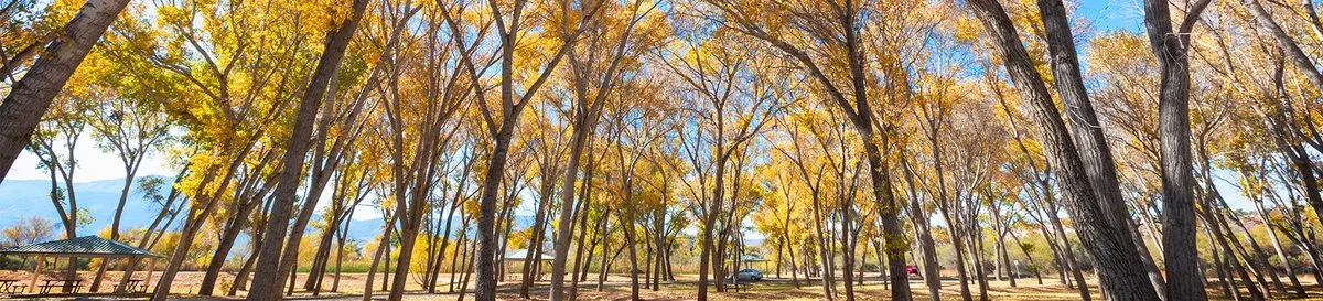 Group Campgrounds