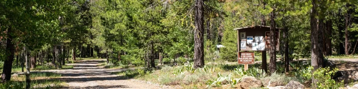 Willow Campground