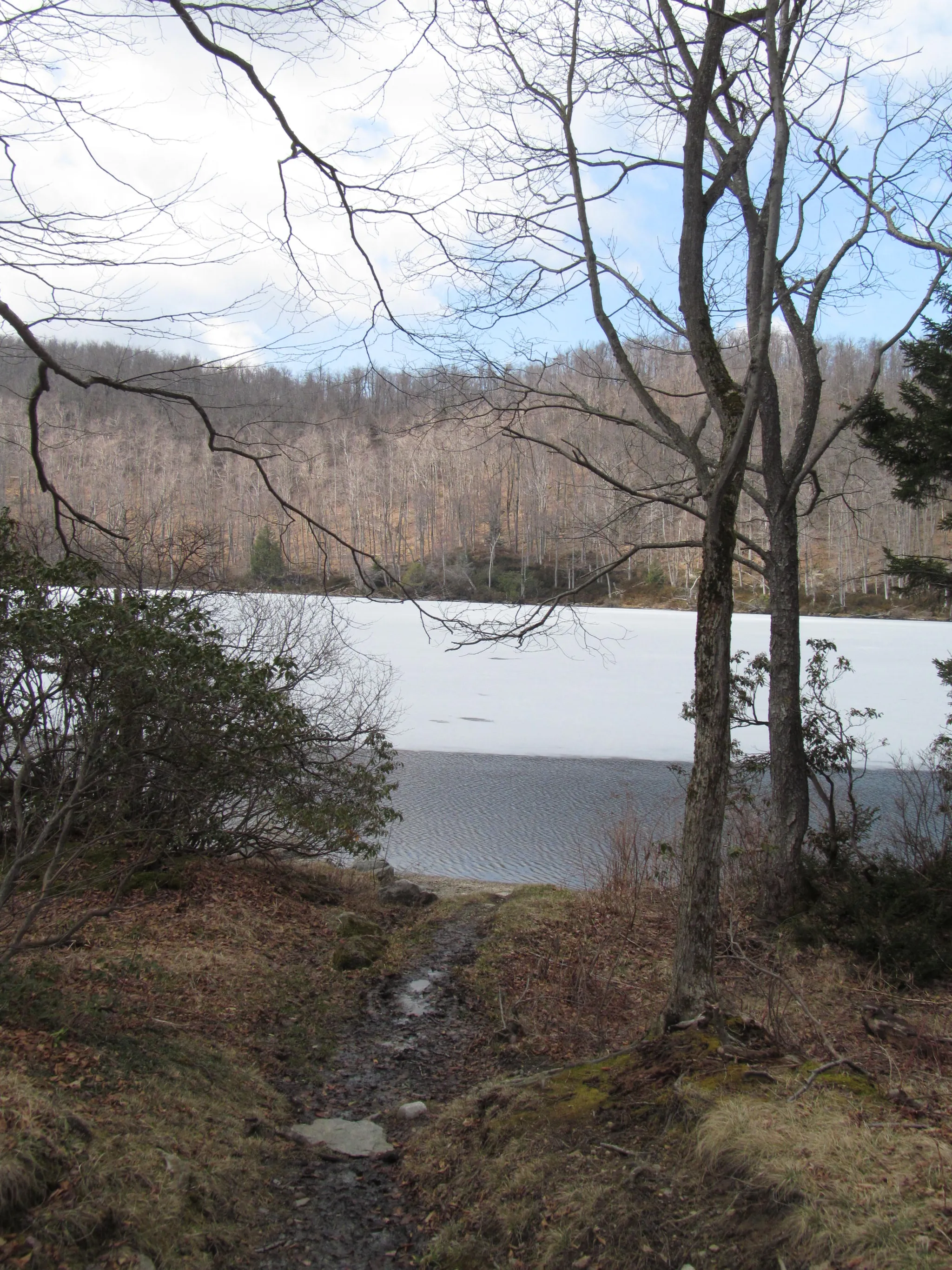 Savoy Mountain State Forest