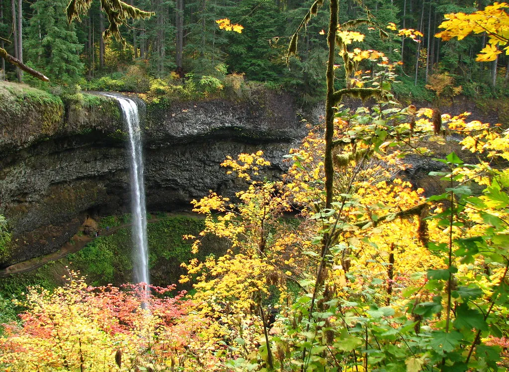 Silver Falls State Park