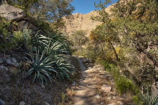 Campground Upper Loop