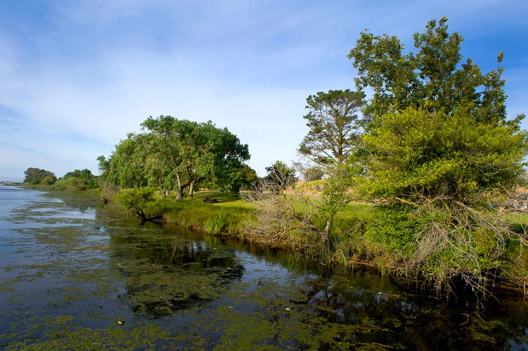 Cottonwood Campground