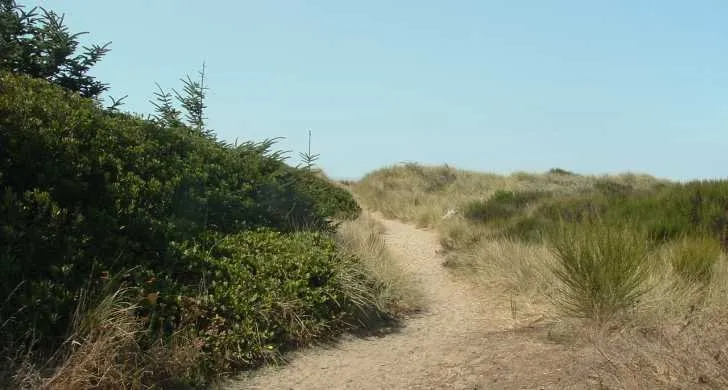 Memaloose State Park
