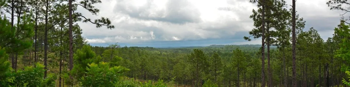 Hunter Camp