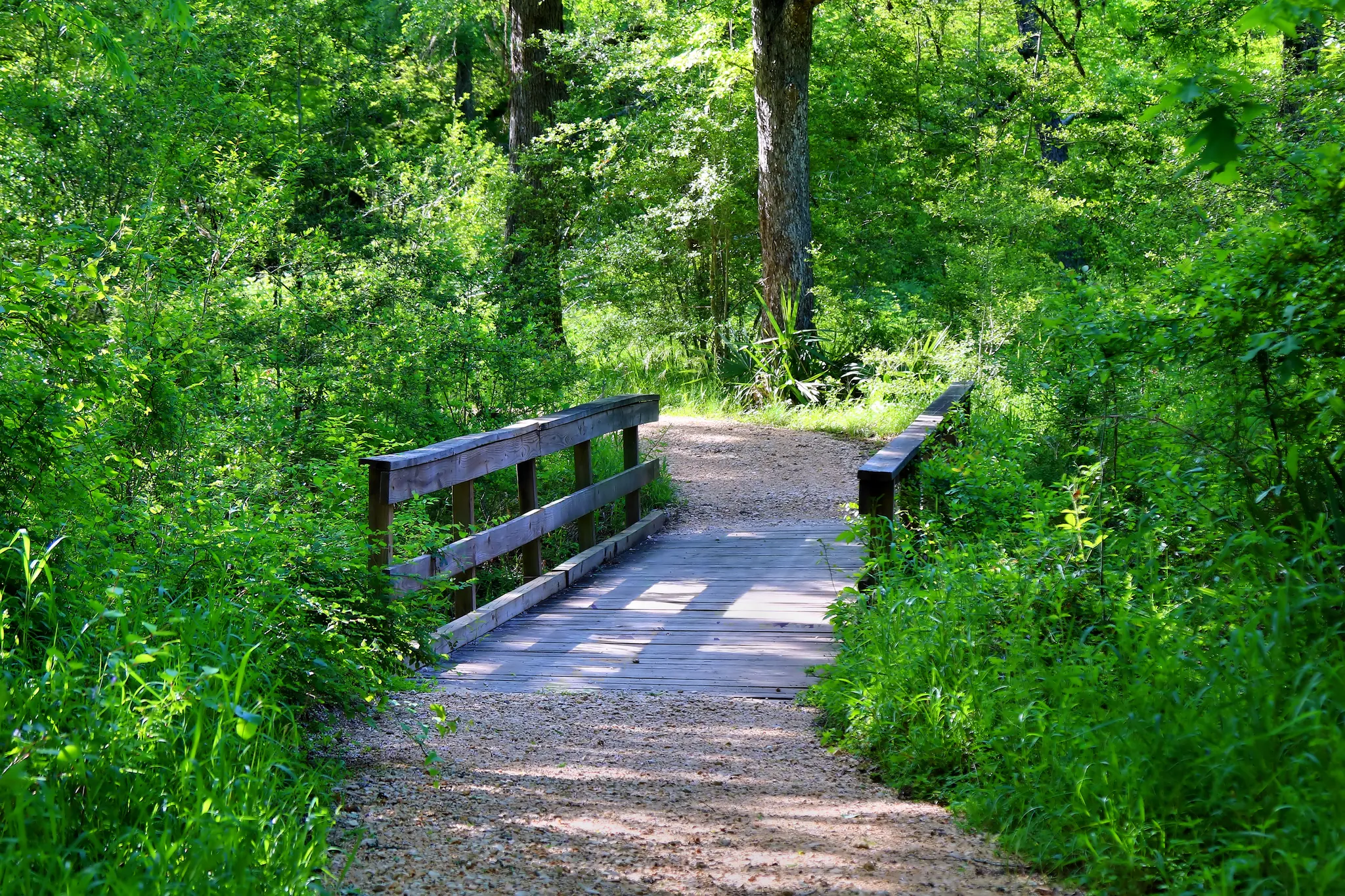 Stephen F. Austin State Park