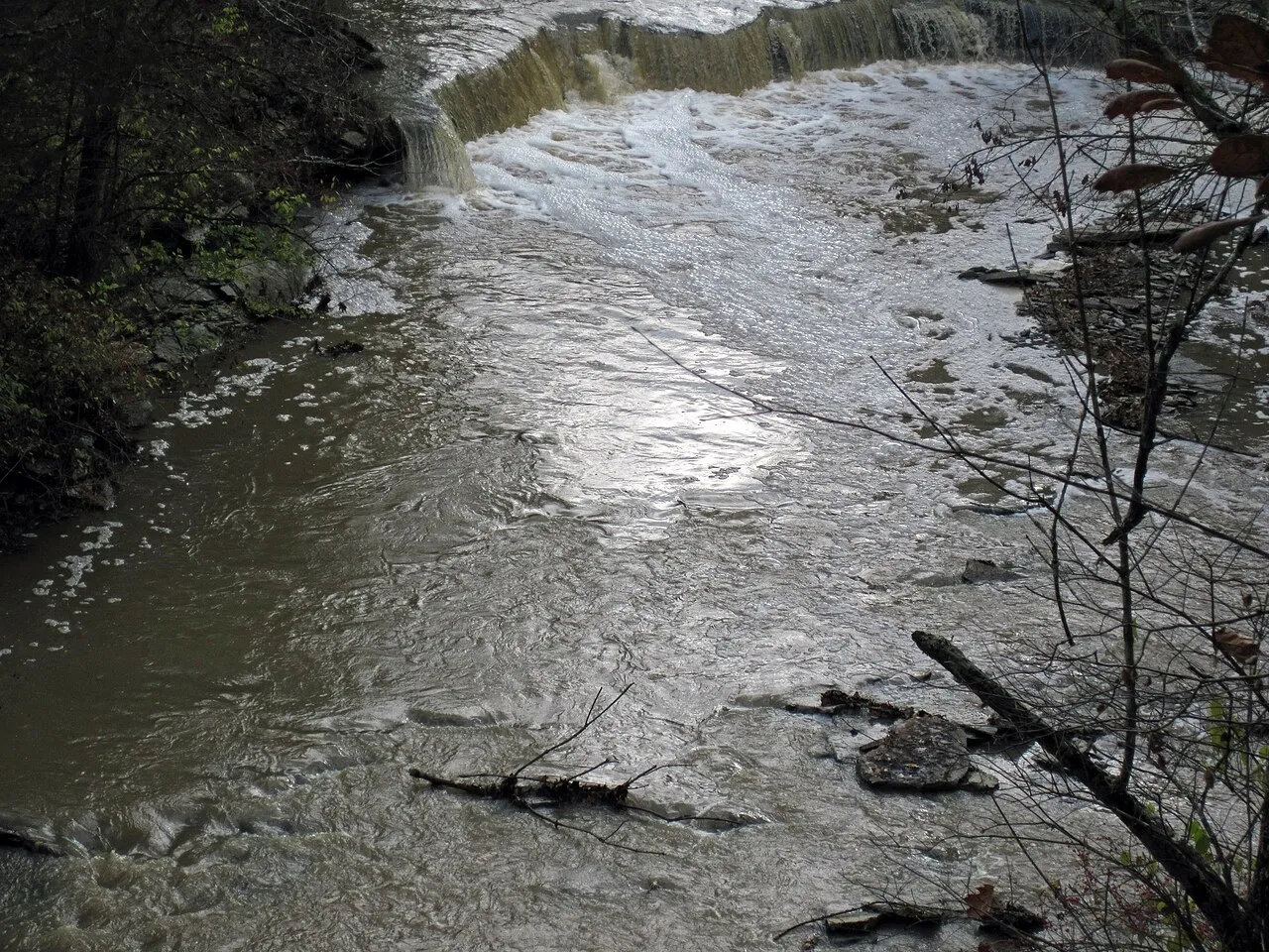 Caesar Creek Camp Loops A, B, C