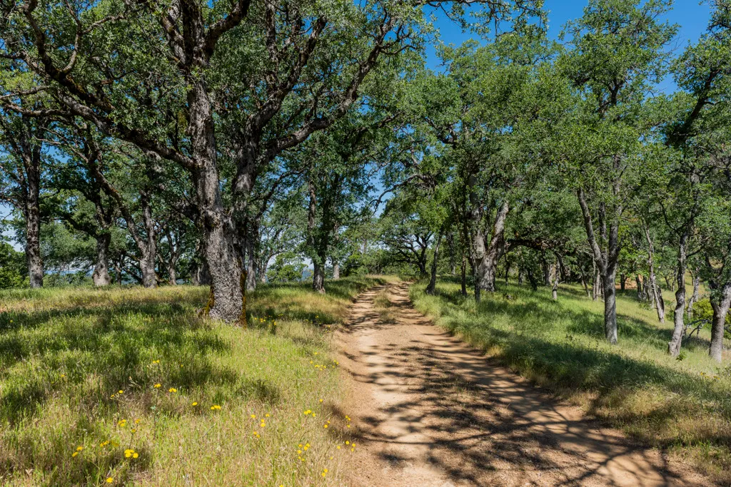 Manzanita Point Hike-In Group Campground