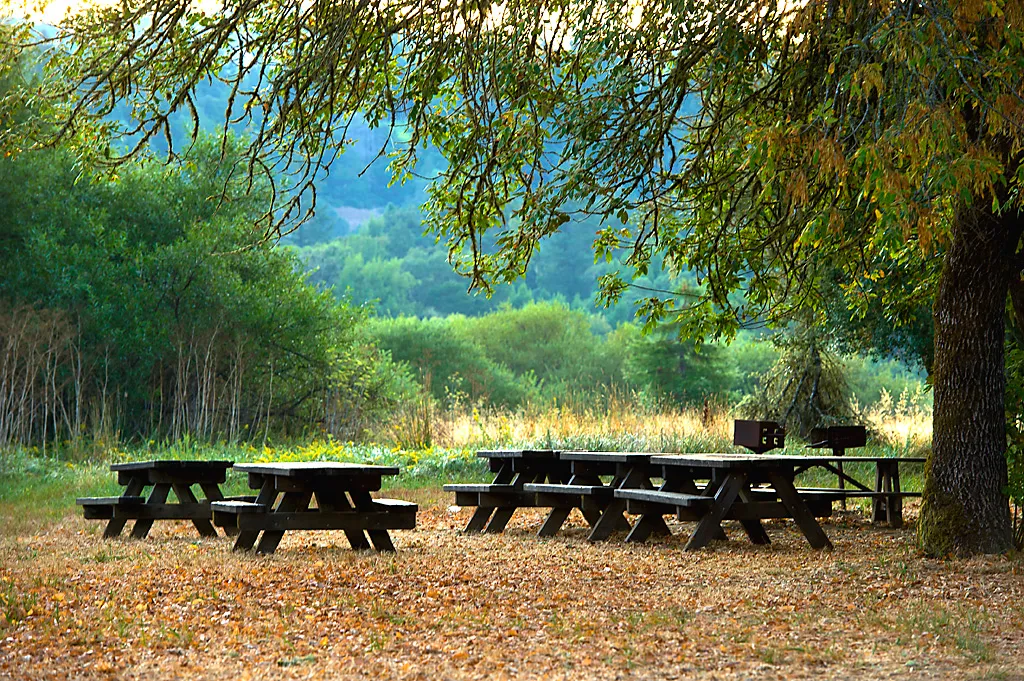 Azalea Campground