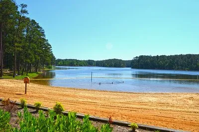Mistletoe State Park