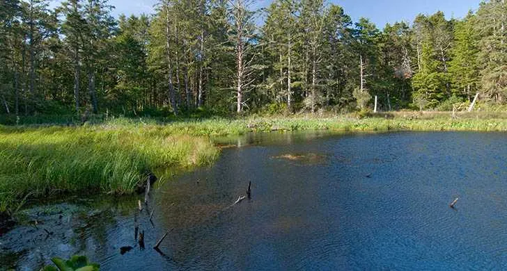 Willamette Mission State Park