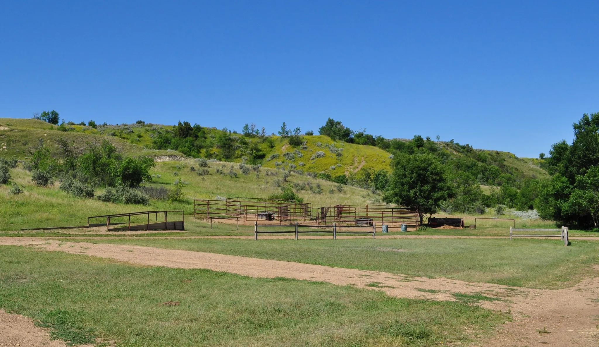 Roundup Group Horse Camp