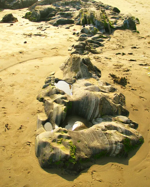 Carpinteria State Beach Campground